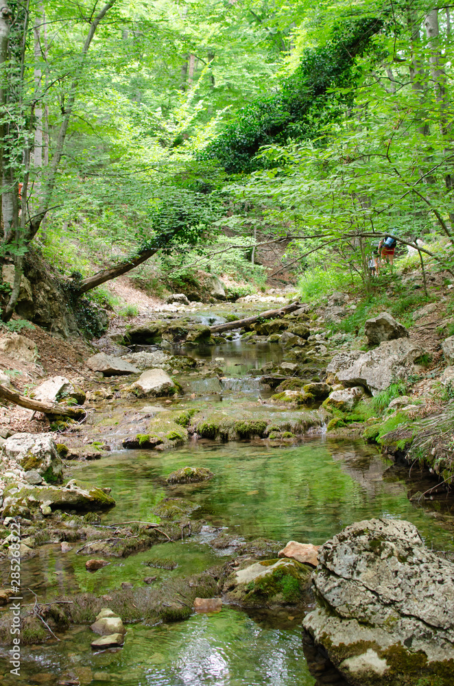 view of the beautiful mountain river in the Crimea among the rocks and trees in the summer view of the beautiful mountain river in the Crimea among the rocks and trees in the summer