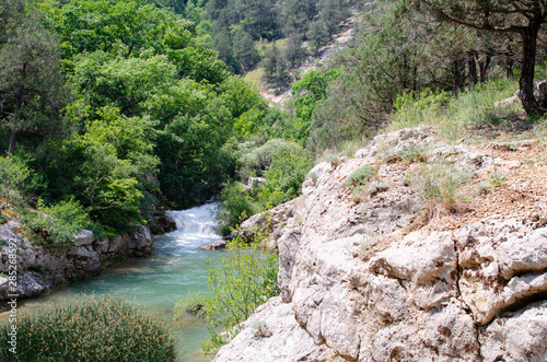 view of the beautiful mountain river in the Crimea among the rocks and trees in the summer