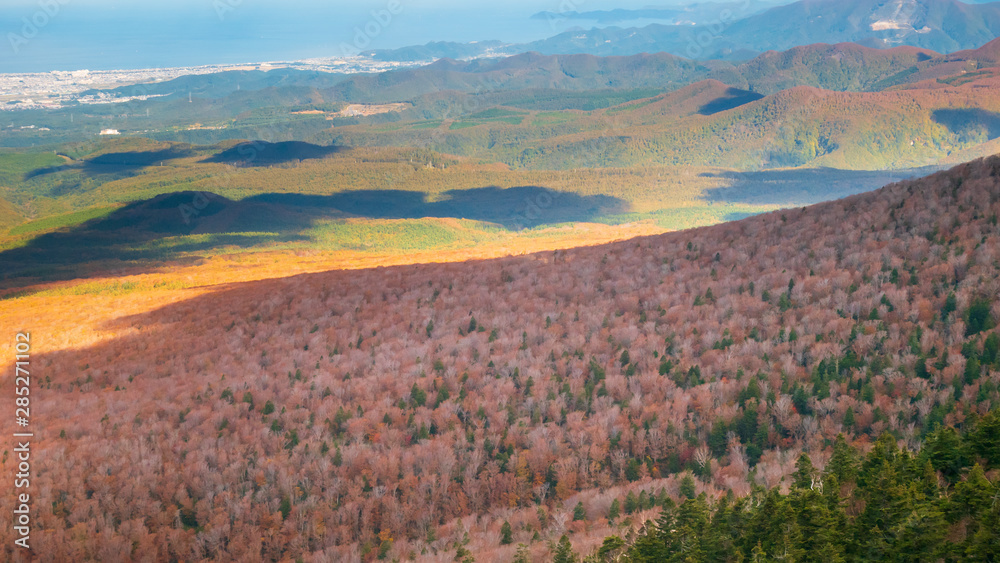 Aerial View of Colorful Autumn Leaves or Autumn Forest on top of hakkoda mountain in nature concept.