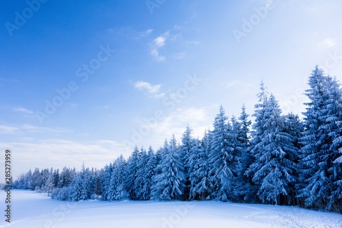 Winter fairytale forest landscape with snow covered trees and clear blue sky. Beskydy mountains, Czech republic. Copy space. Beautiful snowy scenery.