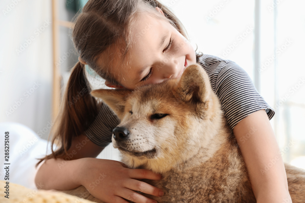 Happy girl with Akita Inu dog indoors. Little friends - obrazy, fototapety, plakaty 