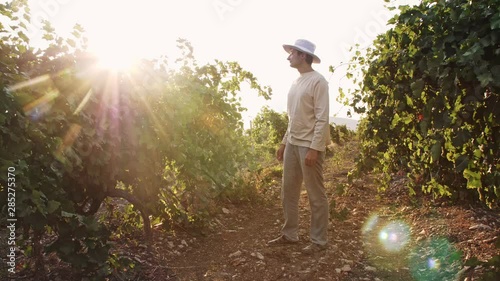 winegrower stands between rows of grapes on a hot day in the sun