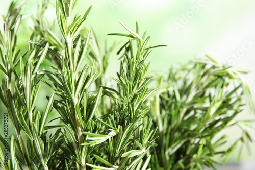 Branches of fresh rosemary on blurred green background, space for text