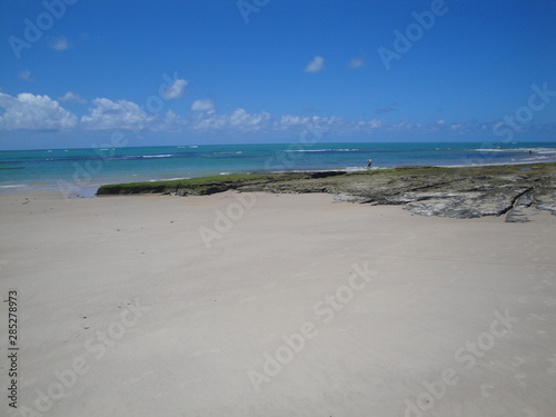 Fototapeta Naklejka Na Ścianę i Meble -  The beautiful landscape found in the beaches of Alagoas, Brazil.
