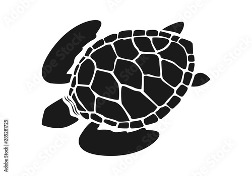 graphic sea turtle,vector illustration of sea turtle