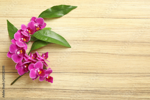 Top view of beautiful orchid flowers with green leaves on wooden background, space for text
