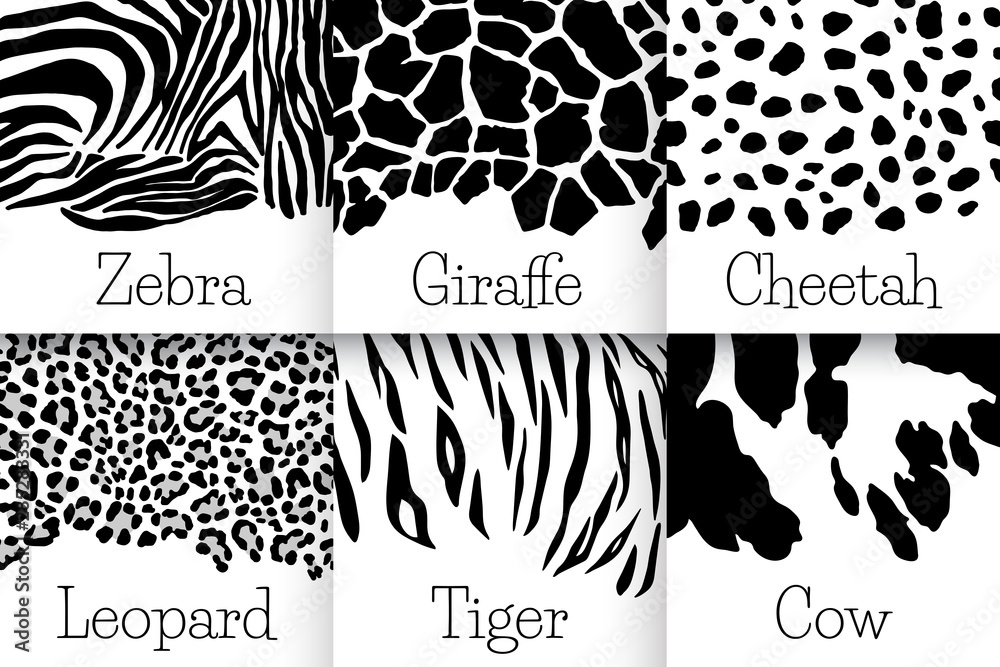 Set of animal seamless prints. Vector illustration. Zebra, cow, leopard ...