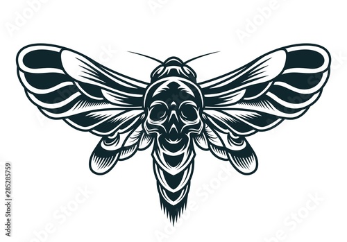 Scary bee monochrome concept