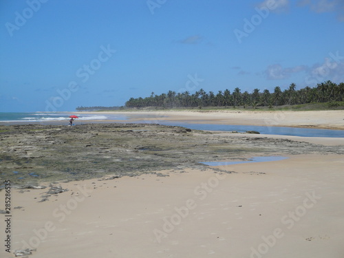 The beautiful landscape found in the beaches of Alagoas, Brazil.