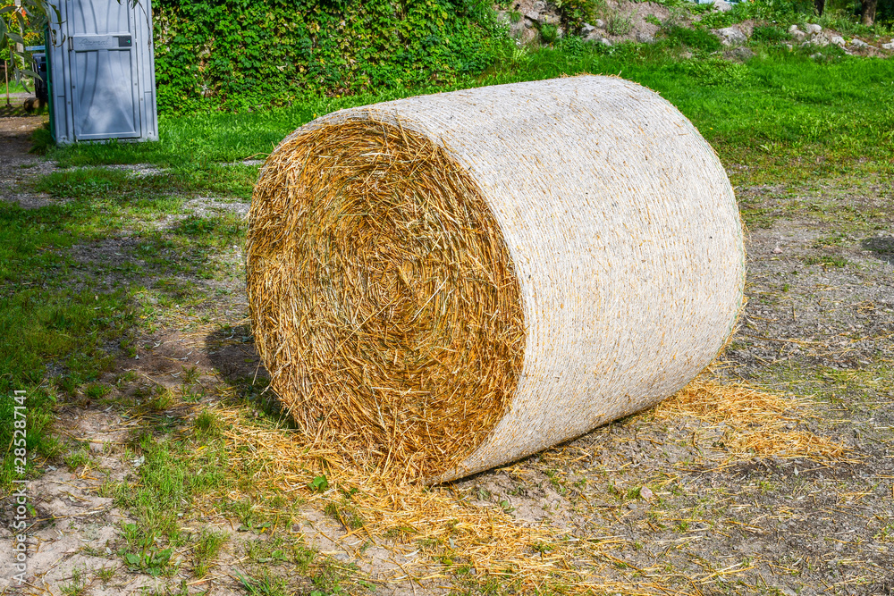 Close up of a bale of straw hay on a rural farm. Close up of a bale of straw hay on a rural farm.