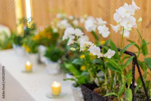 Wallpaper Mural flowers decorate on the dinning long table in the luxury relax event with the wood plate background. Torontodigital.ca