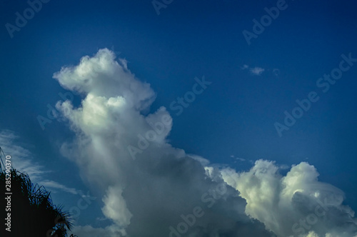 Large thick clouds against blue sky with palm tree and copy space