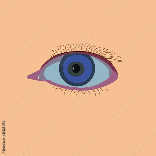 The blue eye with eyelashes