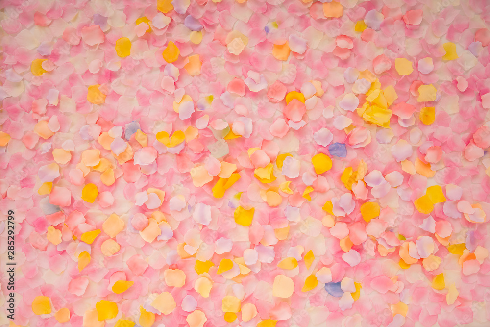 Abstract background of petals Abstract background of petals