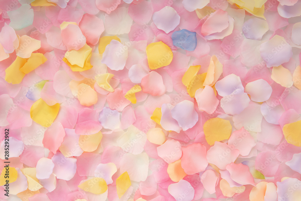 Abstract background of petals Abstract background of petals