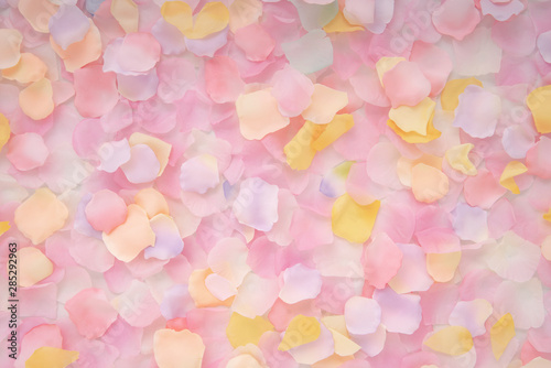 Abstract background of petals