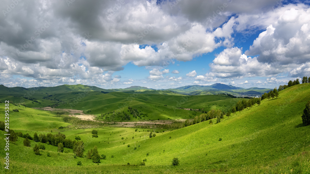 Naklejka premium panorama of mountains with a forest in the Altai region in the last rays of the sun, Russia