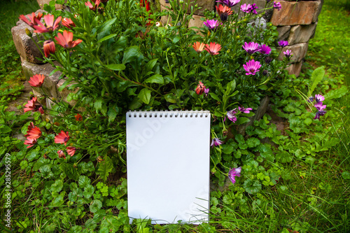 Copy Space Malblock Spiralblock Papier zwischen Blumen und Gras im Garten