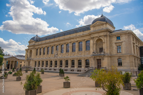 PARIS, FRANCE - August 14, 2019 Museum of Natural History, Grand Gallery of Evolution tracking shot elephants to giraffes