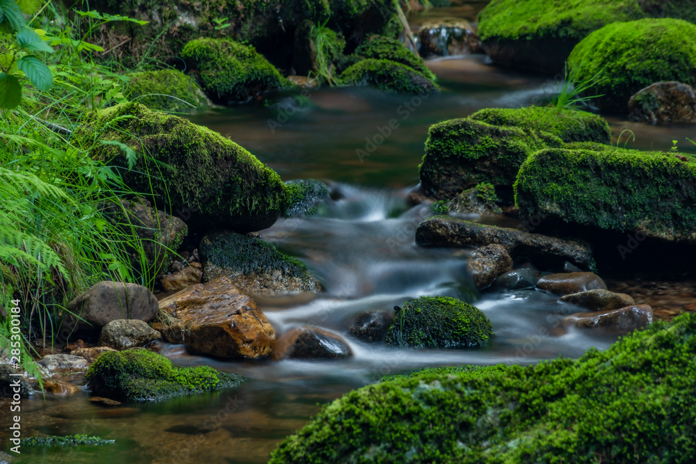Skrivan creek in Krusne mountains in summer nice sunny day Skrivan creek in Krusne mountains in summer nice sunny day