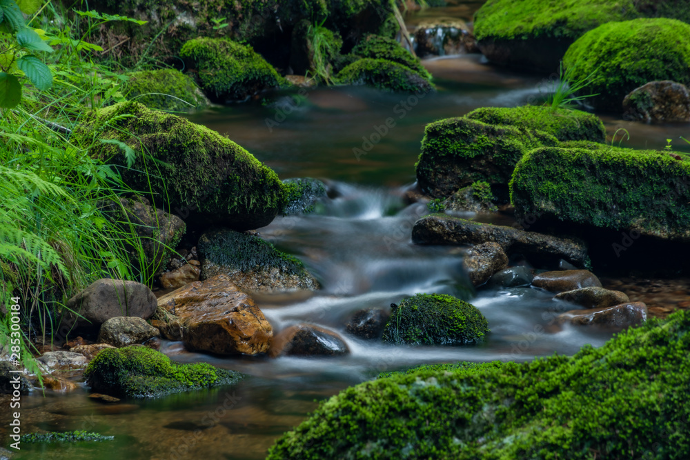 Skrivan creek in Krusne mountains in summer nice sunny day