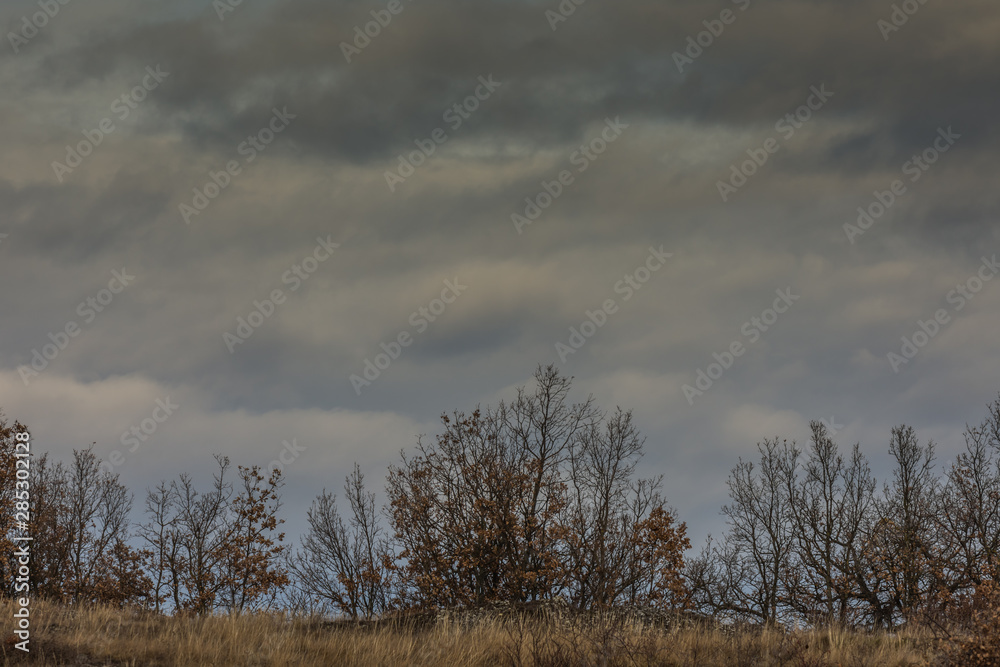 straeucher und regenwolken in der landschaft straeucher und regenwolken in der landschaft