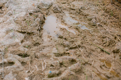 The texture of the mud or wet soil