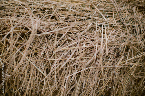 Close up of hay texture
