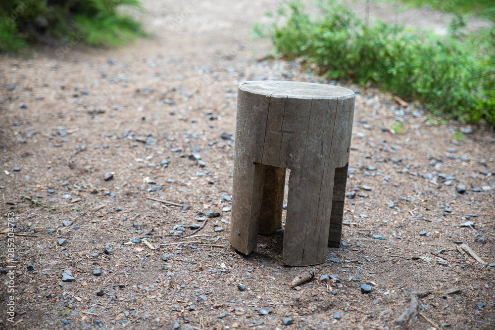 Wooden chair from a tree trunk on a forest floor Wooden chair from a tree trunk on a forest floor