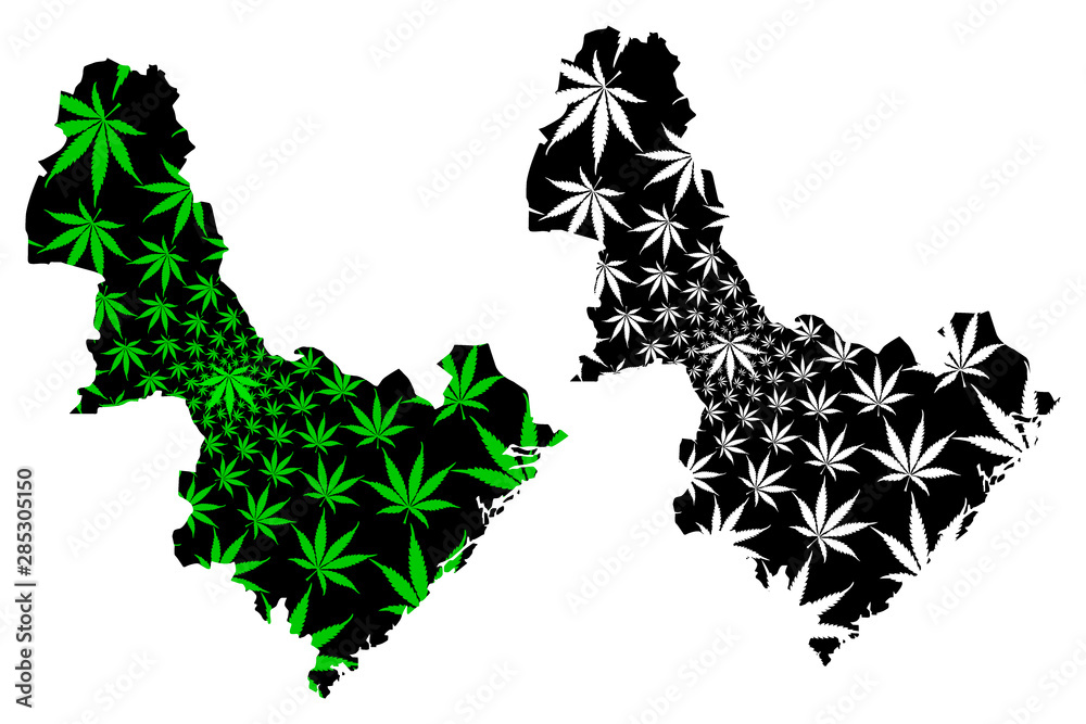 Naklejka premium Aust-Agder (Administrative divisions of Norway, Kingdom of Norway) map is designed cannabis leaf green and black, Aust-Agder fylke map made of marijuana (marihuana,THC) foliage,....