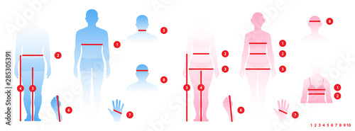 Body parameters man and women in full length
