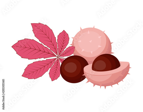 autumn composition of leaves and chestnuts