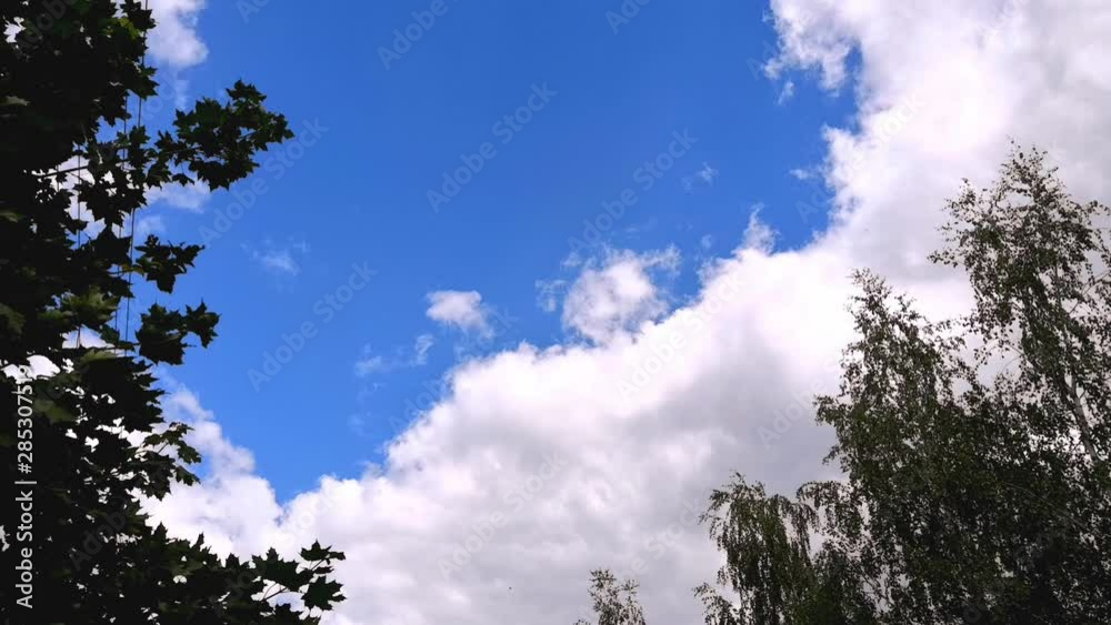 Green tree tops and sky with clouds. Outdoor. Green tree tops and sky with clouds. Outdoor.