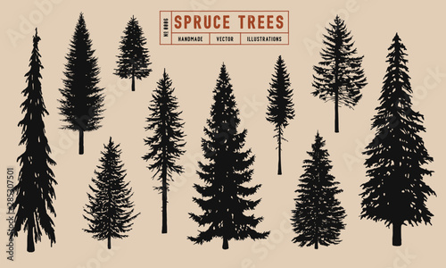 Fotografia Spruce tree silhouette vector illustration hand drawn