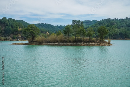 Wallpaper Mural tree in the water - manavgat river Torontodigital.ca