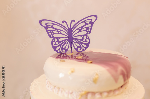 Beautiful cake decorated by batterfly. White and violet