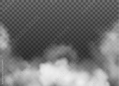 Fog or smoke isolated on transparent background. Vector.