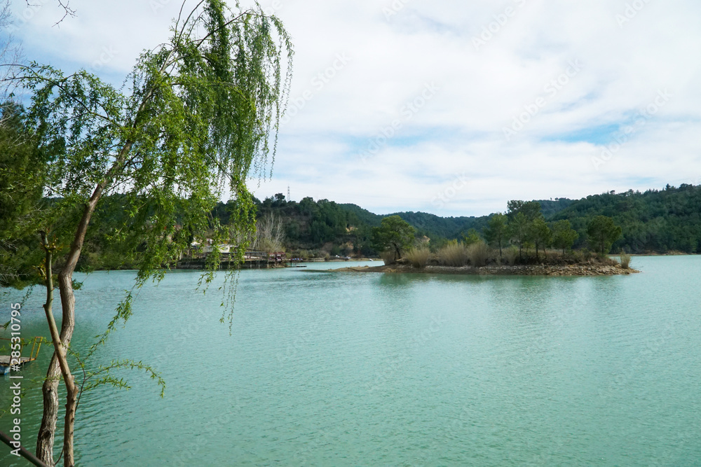 Obraz premium tree in the water - manavgat river