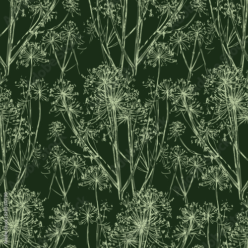 Seamless background of sketches of wild umbellate flowers photo