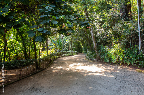 Into the Woods