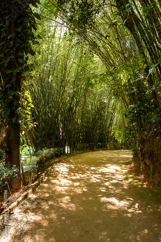 The Green Path