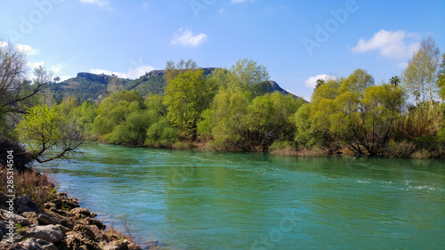 tree in the water - manavgat river