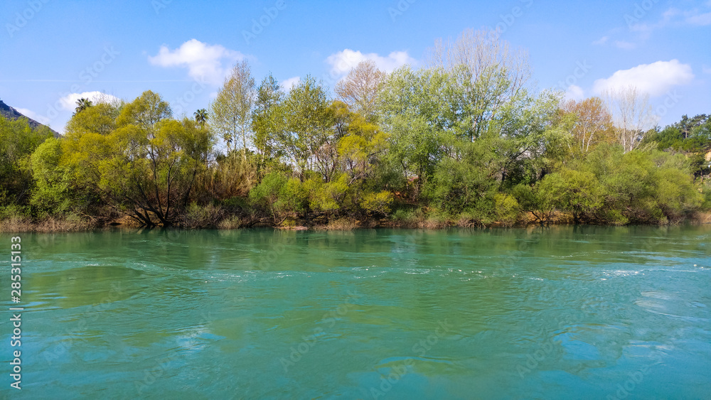 tree in the water - manavgat river
