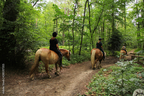 two girls riders ride two horses in the forest