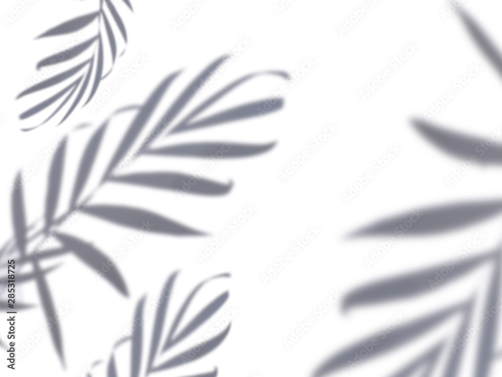 Shadows of tropical palm leaves. Shadows of tropical palm leaves.