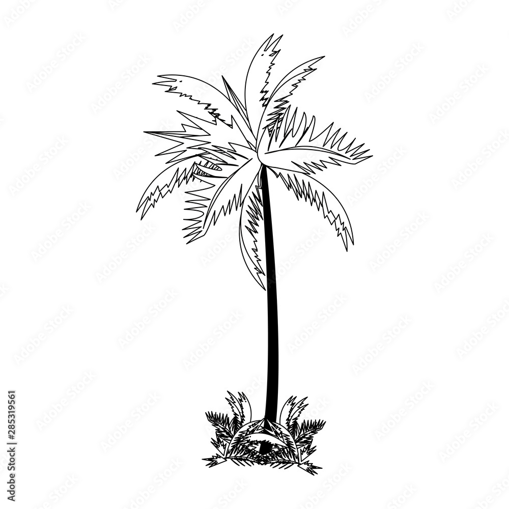 Obraz premium tropical summer relax holiday cartoon in black and white