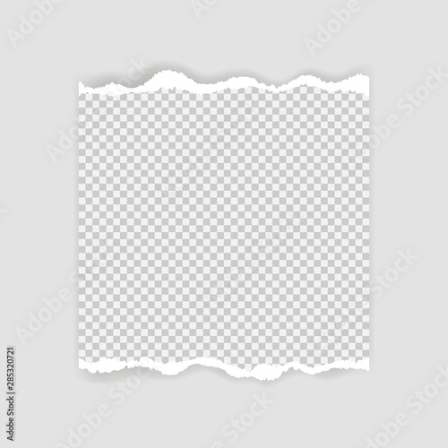 Blank sheet of torn paper for text or message. Torn paper edge. Torn paper stripes. Vector illustration