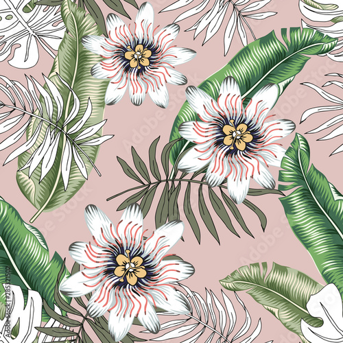 Fotografie Tropical passion flowers, green banana palm leaves background