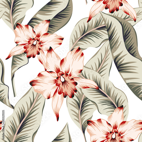 Tropical pink orchid flowers, banana palm leaves, white background. Vector seamless pattern. Jungle foliage illustration. Exotic plants. Summer beach floral design. Paradise nature