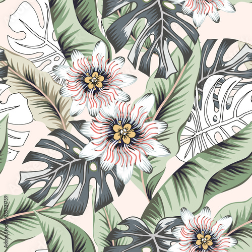Fotografia Tropical passion flowers, green banana, monstera palm leaves background